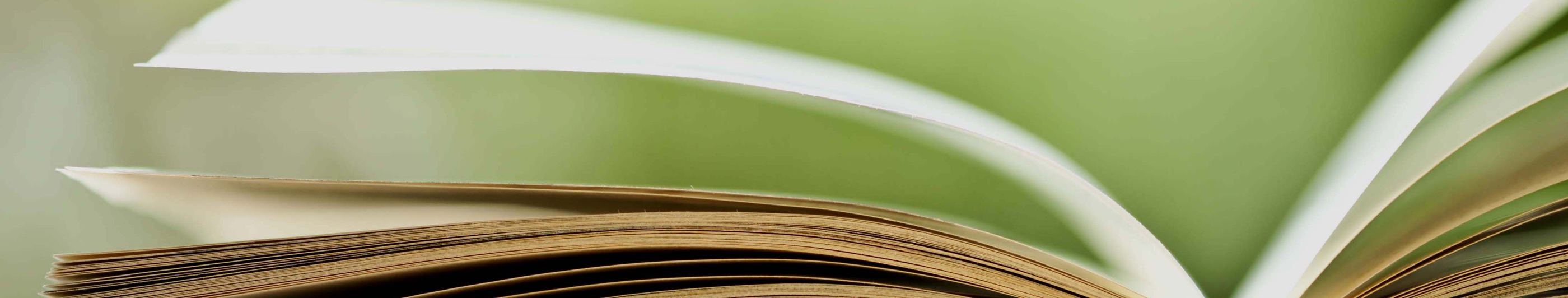 All brochures are PDF files. Best viewed at 150%